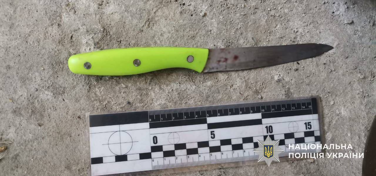 Суд виніс вирок жителю Тячівщини, який під час застілля вдарив сусіда ножем (ФОТО)