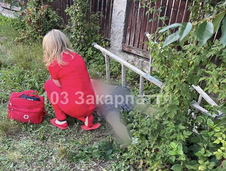 На Тячівщині чоловік загинув, впавши з драбини під час збору черешень (ФОТО)