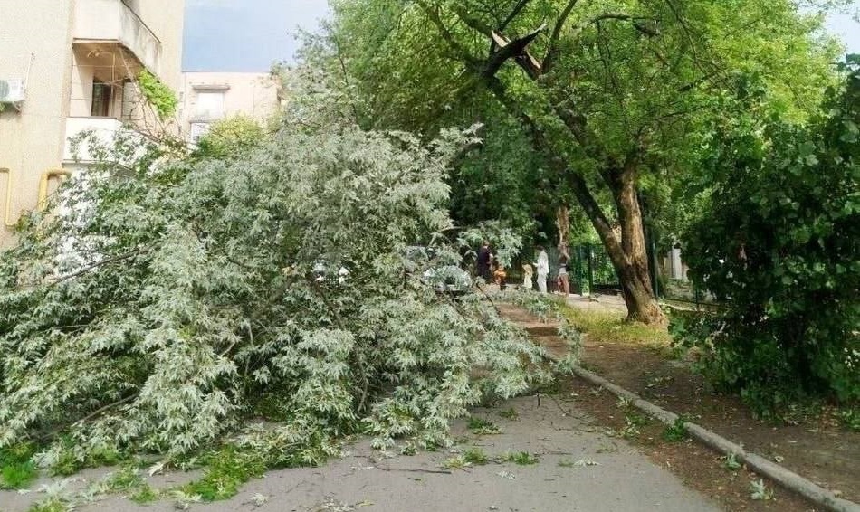 Шквальний вітер наробив лиха на Закарпатті (ФОТО)