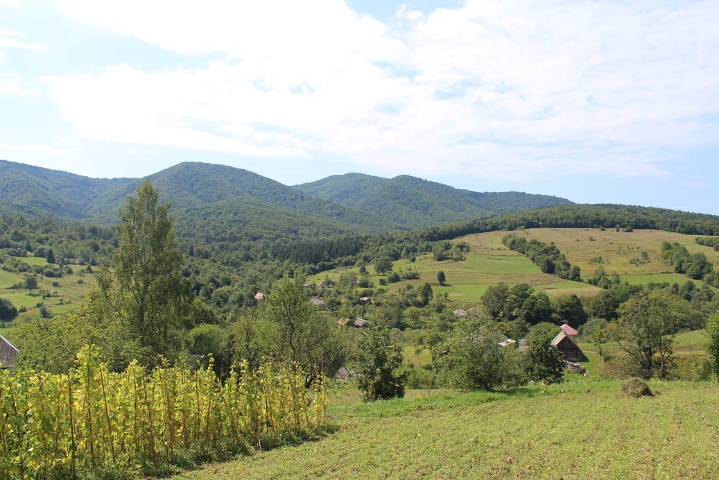 Фото ілюстративне, з мережі інтернет