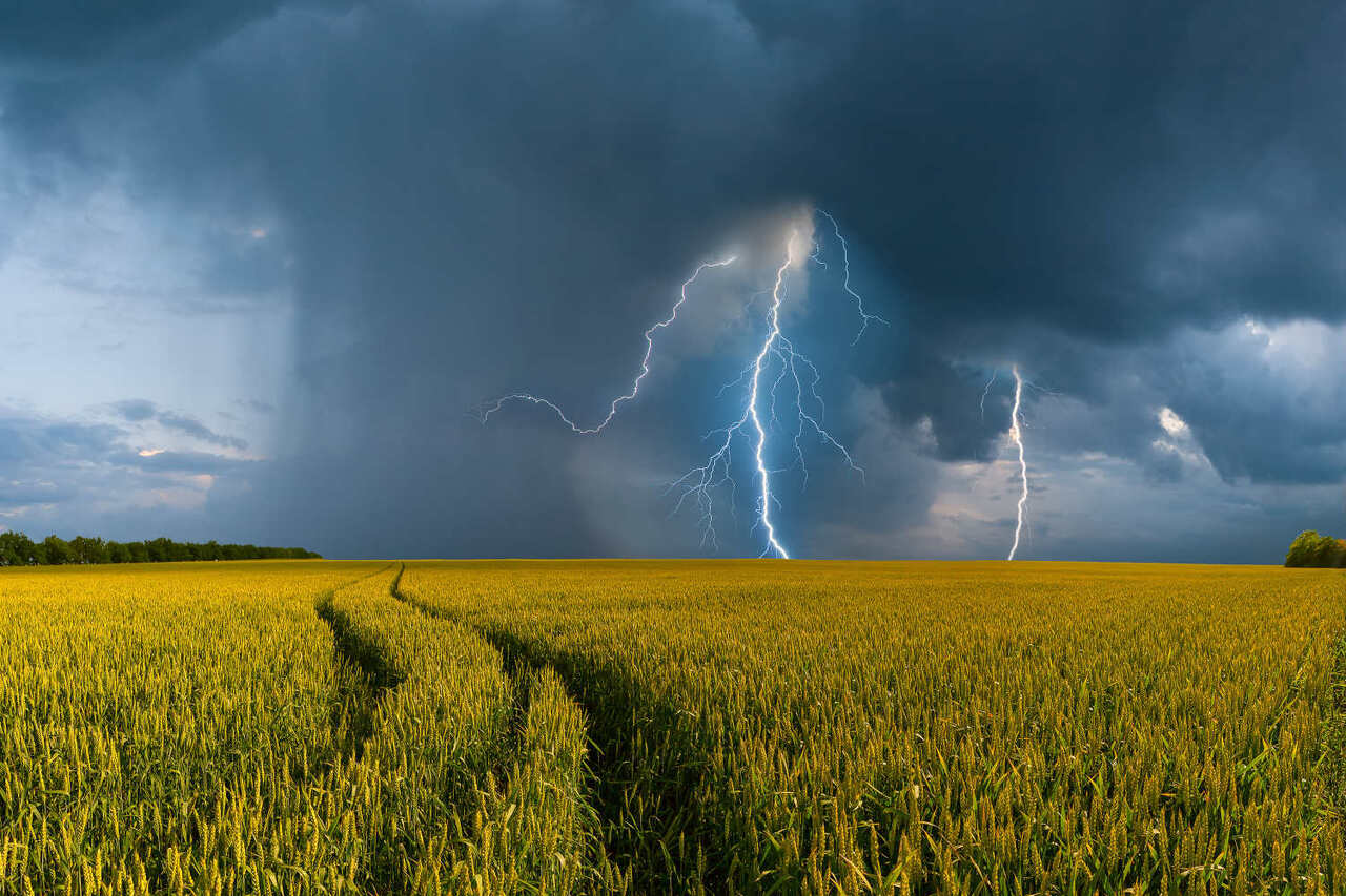 Фото ілюстративне, з мережі інтернет