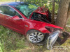 Tesla злетіла з дороги та врізалася в дерево на Мукачівщині (ФОТО)
