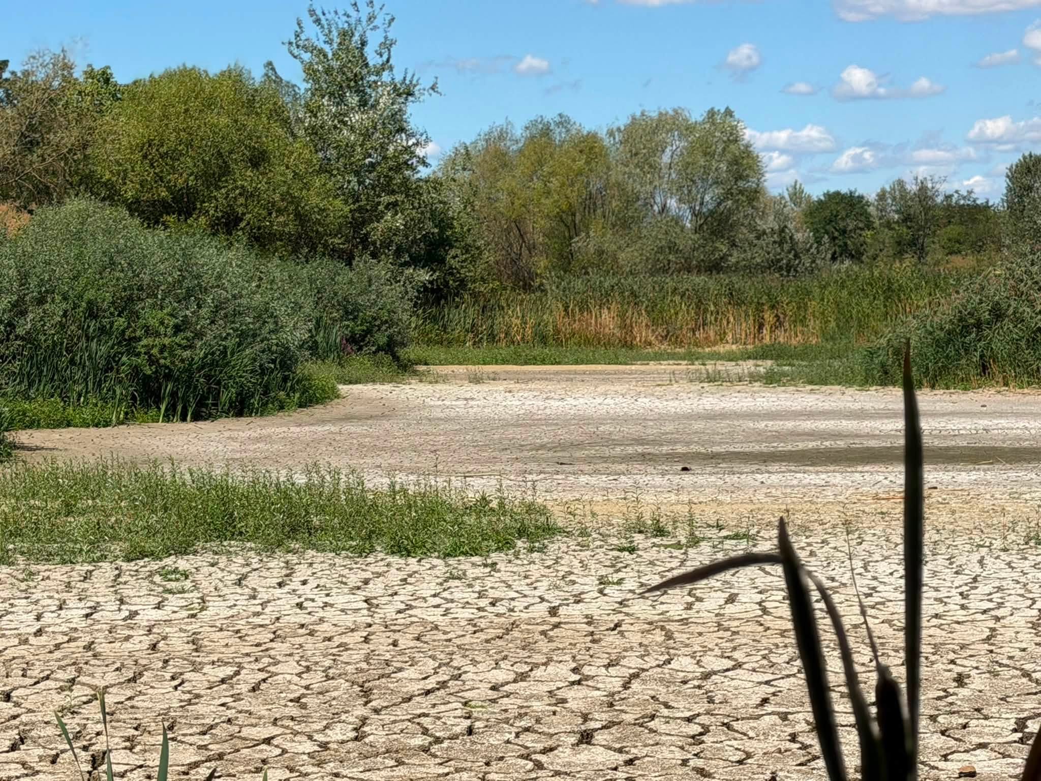В Ужгороді висохло головне Чорне озеро (ФОТО)