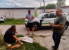 На Мукачівщині дика лисиця забігла у під’їзд багатоповерхівки (ФОТО)