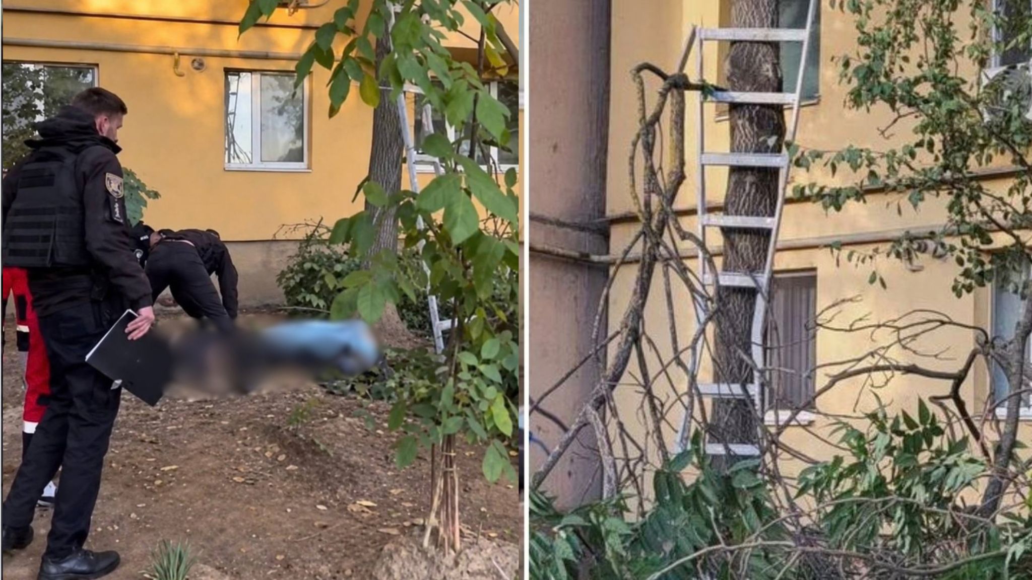 В Ужгороді чоловік загинув, впавши з драбини під час обрізання дерева (ФОТО)