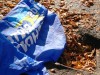 На Закарпатті агітатори-«регіонали» потерпають від «Свободи»