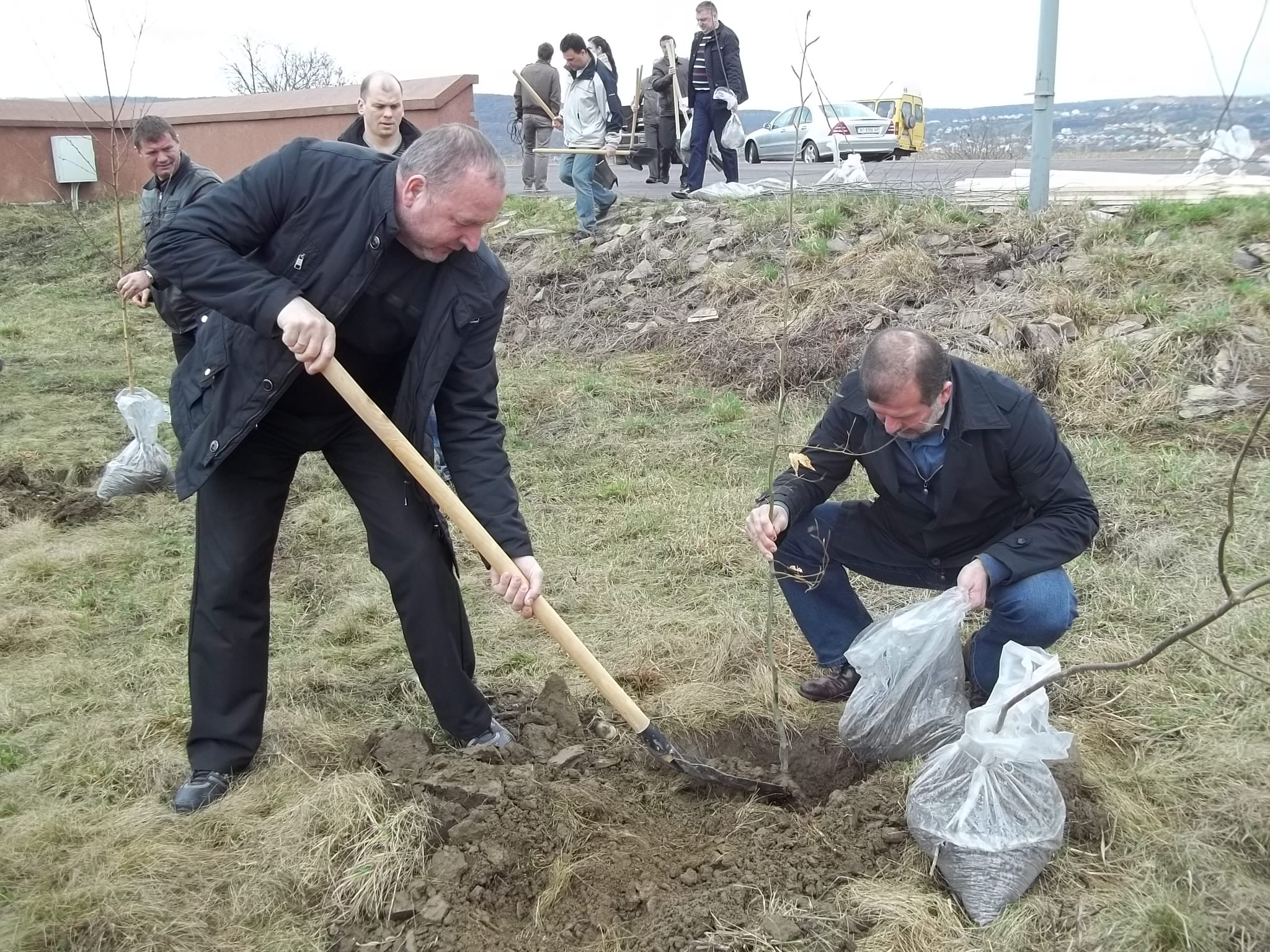 Єдиноцентристи садили сакури в Хусті та Іршаві