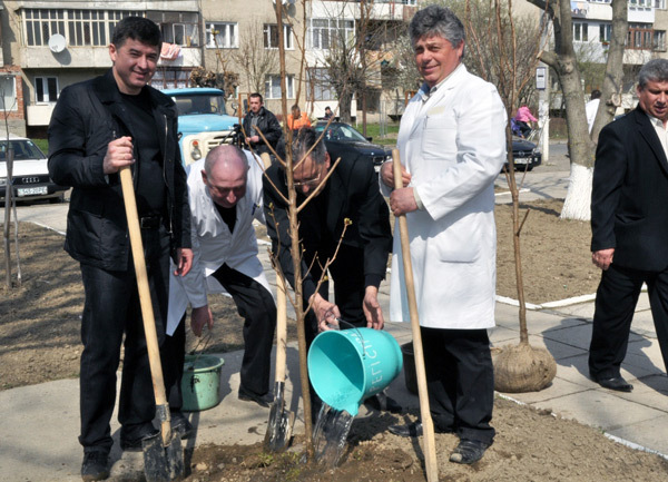 Виноградово=сакури