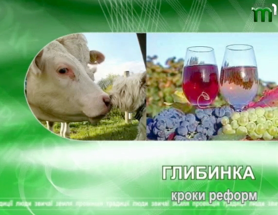 Село Поляна презентувало історію успіху громади (ВІДЕО)
