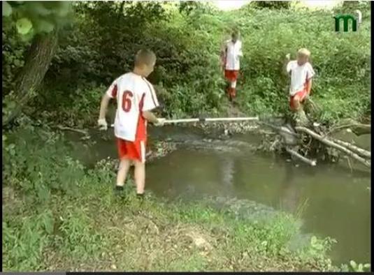 На Закарпатті прибирали береги Циганки (ВІДЕО)