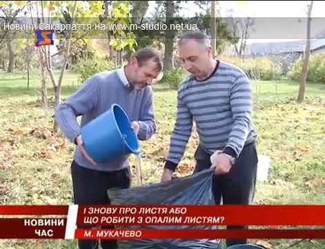 Закарпатцям пропонують органічну технологію утилізації опалого листя (ВІДЕО)