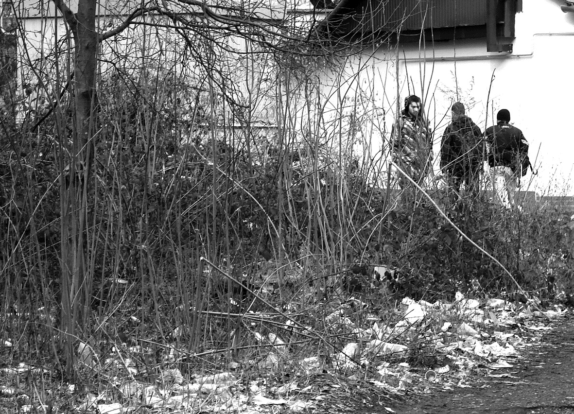 Сміттєзвалища в Ужгороді стали звичним явищем (ФОТО)