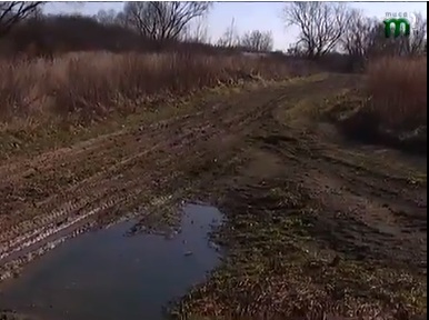 На місці "собачого" притулку в Ужгороді наразі пустир (ВІДЕО)