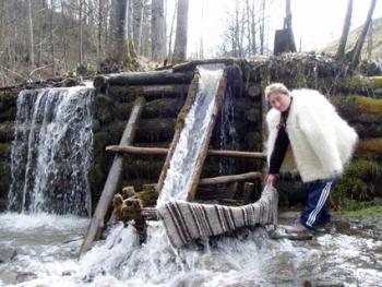 У села Річка свої витоки...