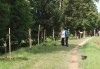 У Мукачеві засадженою сакурами набережною пройде велокільце від Паланку до Підгорян (ВІДЕО)