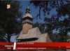 Унікальна дерев