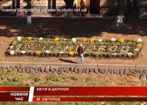 Любов до Ужгорода "виписали" квітами на набережній (ВІДЕО)