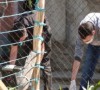 На місці вбивства родини у Веряці знайдено два ножі (ВІДЕО)
