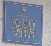 На Іршавщині через скаженого собаку було щеплено близько ста тридцяти  собак і кішок (ВІДЕО)