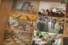 На Закарпатті відзначили 20-ту річницю створення товариства вірменів "Арарат" (ВІДЕО)