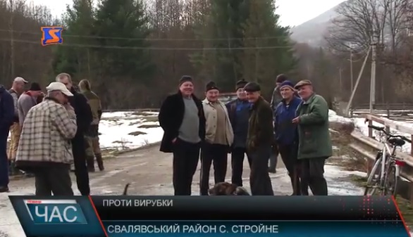 На Свалявщині селяни перекрили дорогу, протестуючи проти вирубки лісу (ВІДЕО)