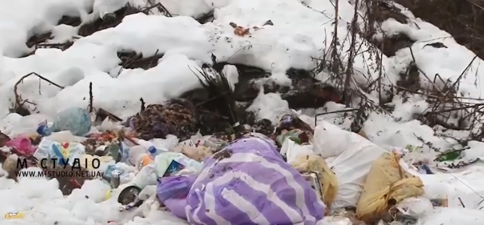 Ліси Виноградівщини вздовж доріг перетворилися на звалища (ВІДЕО)