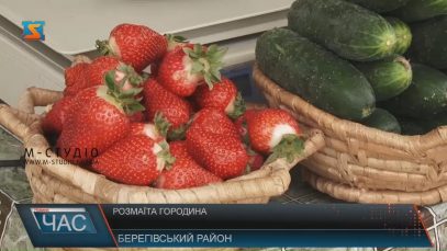 На Закарпатті вже продають свіжу городину (ВІДЕО)