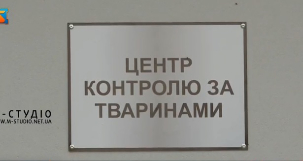 Центр контролю за безпритульними тваринами відкрили у Виноградові (ВІДЕО)