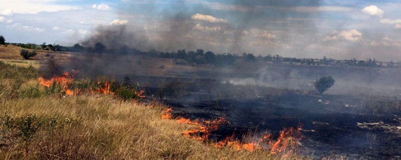 На Закарпатті за вихідні 34 рази горів сухостій