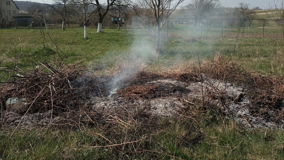 На Ужгородщині розшукували паліїв трави (ФОТО, ВІДЕО)