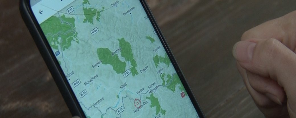 Близько 60 звернень про порушення у лісах Закарпаття фіксують через застосунок за останні 8 місяців (ФОТО, ВІДЕО)