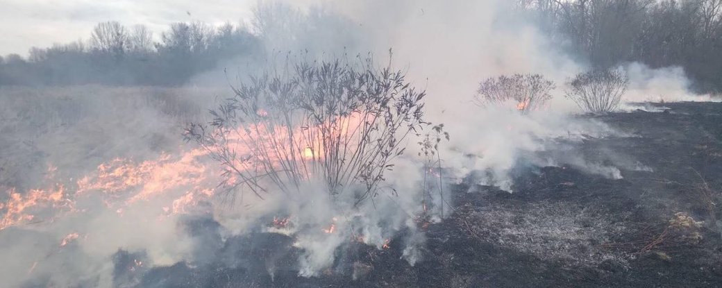 Мешканцям Закарпаття заборонили відвідувати, а транспорту – заїжджати до лісів області 