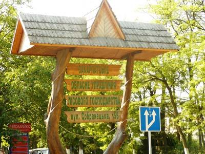 У першому півріччі об’єми лісозаготівлі на Закарпатті виросли до 135%