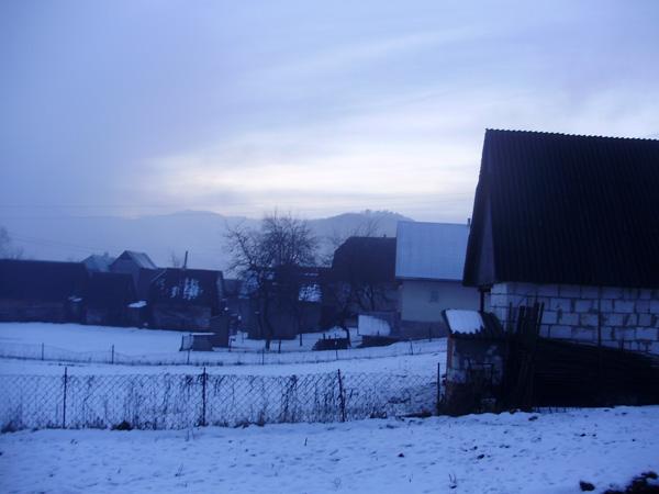 Зима в Широком Луге (ФОТО)