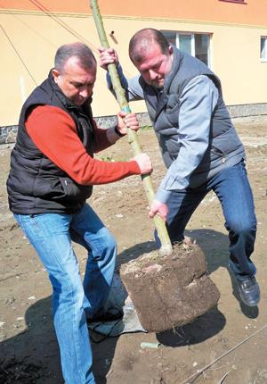 Закарпаття справді розквітне