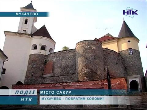 Європа в окремо взятому Мукачеві - погляд з Коломиї (ВІДЕО)