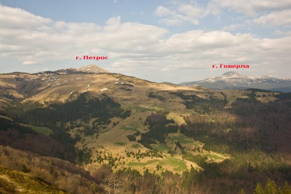 РОЗАРІЙ БЛАКИТНИХ ТРОЯНД    
